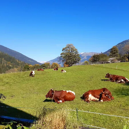 Апартаменты Hoislbauerngut