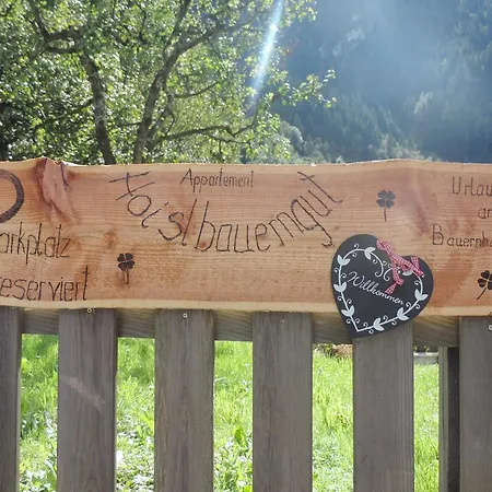 Апартаменты Hoislbauerngut *