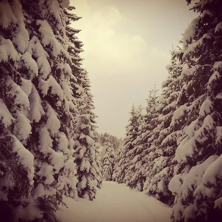 Hoislbauerngut * Бад Хофгаштайн