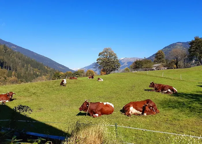 Apartment Hoislbauerngut