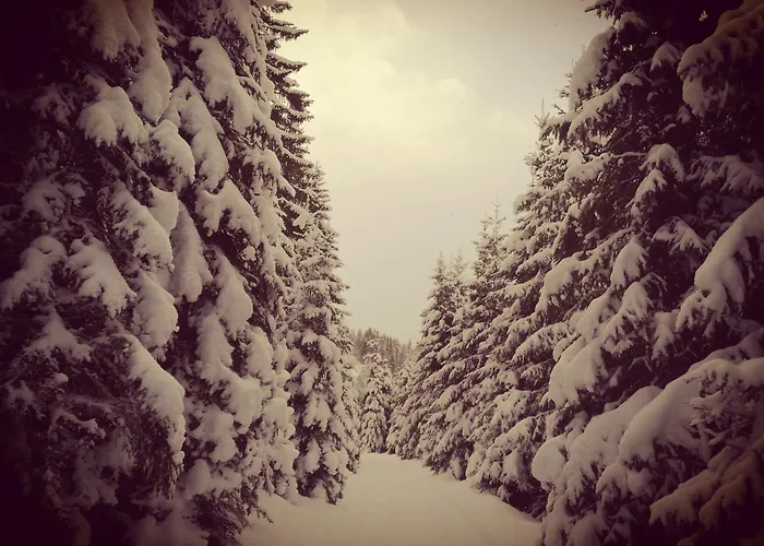 Hoislbauerngut * Bad Hofgastein